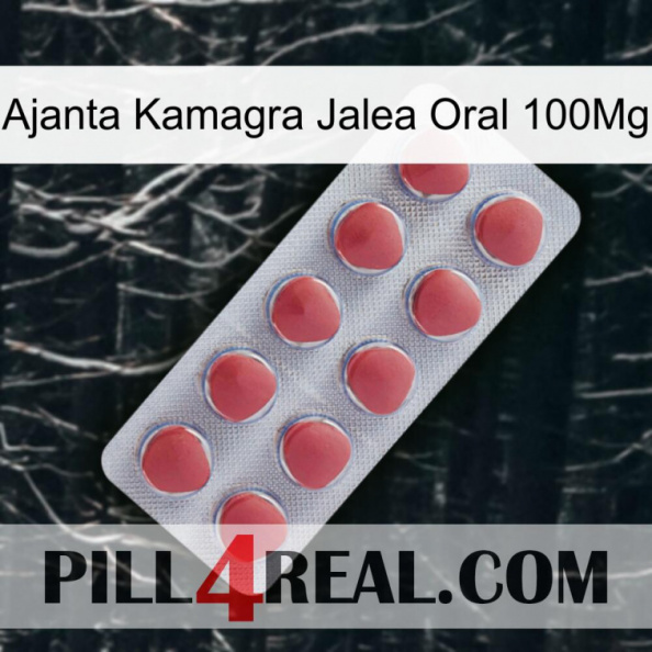 Ajanta Kamagra Oral Jelly 100Mg 18.jpg